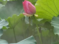 -黄兴公园