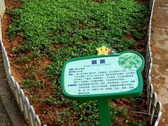 -天河儿童公园
