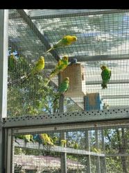 -萌宠亲子动物乐园(槐房万达店)