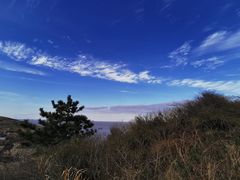 -洋山深水港