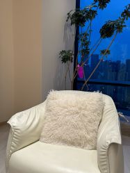 -智美品质医美