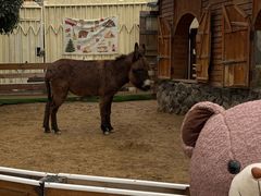 -HERRE·FARM 赫尔露营农场·团建聚会包场