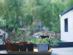 -17号蓝滩咖啡馆(武夷山店)