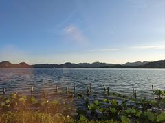 -湖畔居茶楼(湖滨店)