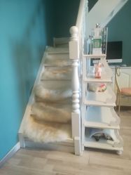 -YOUNGSKIN氧研皮肤管理中心