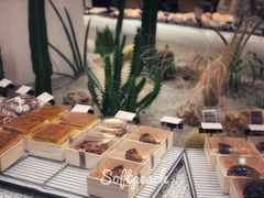 -OUR Bakery(SKP-S店)