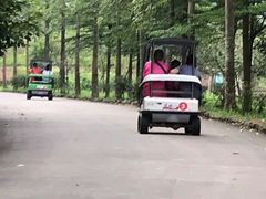 -田野绿世界