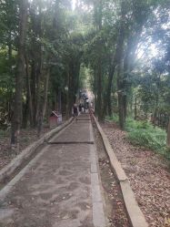 -奇幻丛林(佛罗伦萨小镇店)