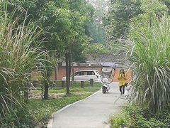 -桤木河湿地公园