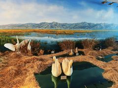 -延庆地质公园博物馆