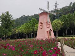 -顺峰山公园