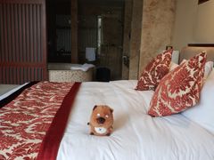 -天目湖御水温泉·度假酒店