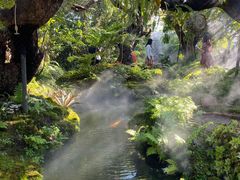 -Chom Cafe and Restaurant