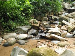 -火炉山森林公园