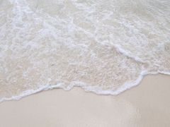 -东姑阿都拉曼海洋公园