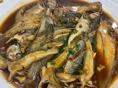 -福建美食城(老君堂店)