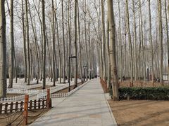 -仁和公园(顺义区)