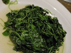 -金枝玉叶上海人家食府(三里河店)