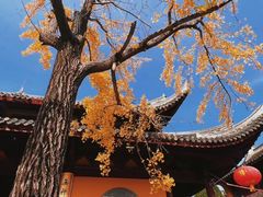 -龙华寺