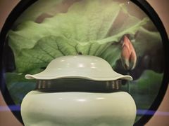 -四川宋瓷博物馆