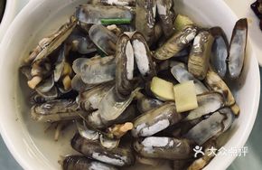 Plump Clams
