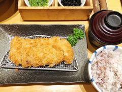 -胜博殿日式炸猪排(西红门店)