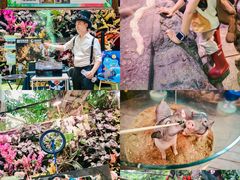 -正佳雨林生态植物园