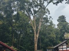 -都江堰普照寺