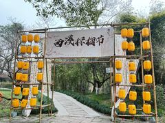 -西溪国家湿地公园