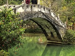 -靖西鹅泉风景区