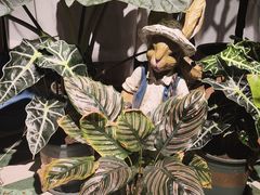 -Thai Basil罗勒叶泰式餐厅(时代天街店)