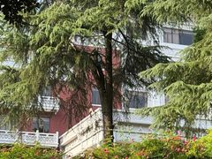 -杭州香格里拉·香宫中餐厅