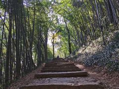 -西湖风景区十里琅珰-五云山