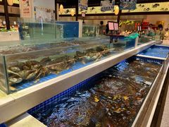 -渔人码头(中南店)