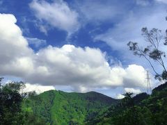 -阳台山森林公园