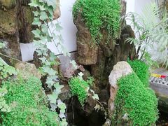 -丽江庭院之爱在路上(西单店)