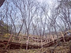 -大岭沟猕猴桃谷风景区