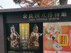-奈良公园