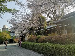 -水前寺成趣园