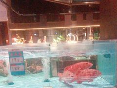 -阿伟海鲜楼·福建菜(延寿店)