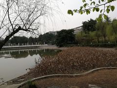-西南政法大学(渝北校区)