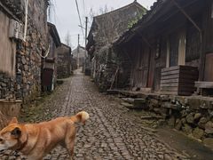 -许家山