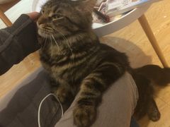 -Pets First伊珊娜洗护·精致美容·家庭式寄养(新会路店)
