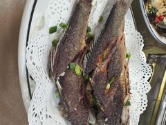 -阿木怪味牛骨头