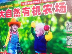 -大自然农场蔬菜草莓采摘园