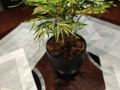-山壹竹庭院餐厅