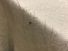 -大鹏饭店·金陵家宴(奥体中心店)