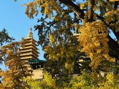 -北京石刻艺术博物馆(五塔寺)