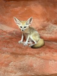 -Zoolung Zoolung动物主题公园(海信广场店)