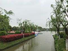 -上海鲜花港